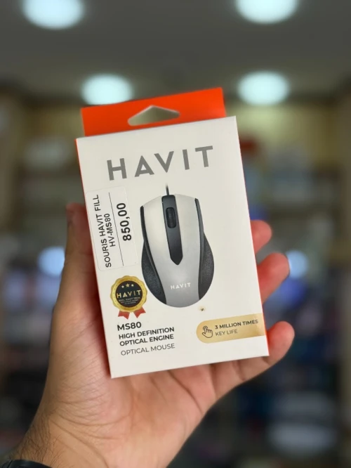HAVIT HV-MS80