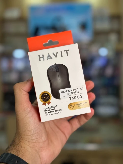 HAVIT HV-MS606
