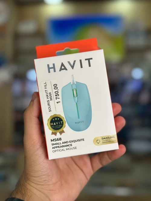 HAVIT MS68