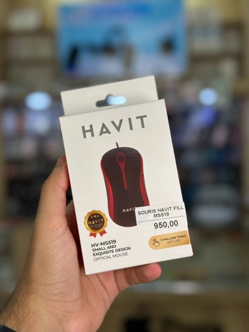 HAVIT HV-MS519