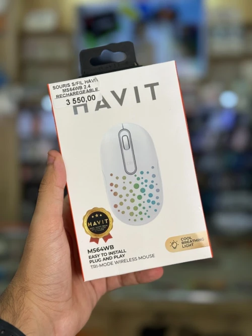 HAVIT MS64WB